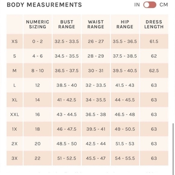 NWT Birdy Grey Jane Convertible Dress in Chiffon Cabernet - Picture 7 of 7